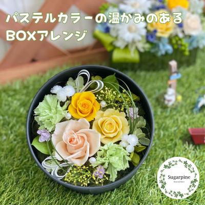 ふるさと納税 春日部市 プリザーブドフラワーアレンジ[レンツ]春日部市 シュガーパイン