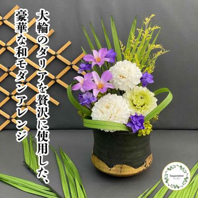 ふるさと納税 春日部市 プリザーブドフラワーアレンジ[誉(ほまれ)]春日部市 シュガーパイン