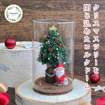 ふるさと納税 春日部市 プリザーブドフラワーアレンジ[ペールノエル]春日部市 シュガーパイン