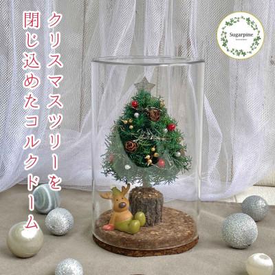 ふるさと納税 春日部市 プリザーブドフラワーアレンジ[レンヌ]春日部市 シュガーパイン