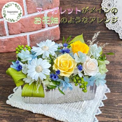 ふるさと納税 春日部市 プリザーブドフラワーアレンジ[ピュール] 春日部市 シュガーパイン