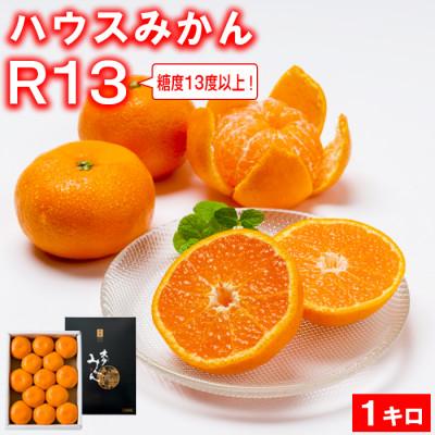 ふるさと納税 杵築市 糖度13度以上!プレミアムハウスミカンR13 約1kg 化粧箱入