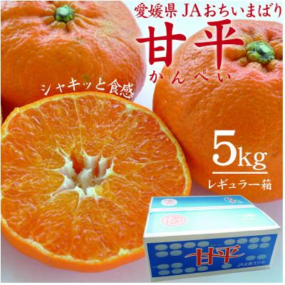 ふるさと納税 上島町 [先行受付]人気柑橘 甘平(かんぺい)レギュラー箱 5kg 愛媛県 JAおちいまばり