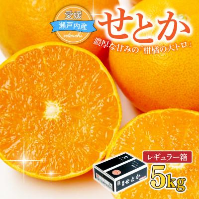 ふるさと納税 上島町 [先行受付]せとか レギュラー箱 5kg 愛媛県JAおちいまばり