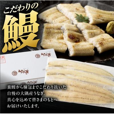 ふるさと納税 鹿屋市 【訳あり】【数量限定】鹿児島県大隅産うなぎ白焼3尾　計360g |  | 01