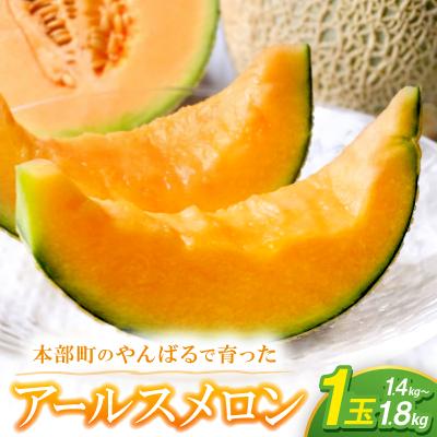 ふるさと納税 本部町 [2026年5月から順次発送]アールスメロン 1玉(1.4kg〜1.8kg)