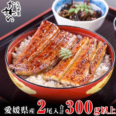 ふるさと納税 松山市 愛媛県松山産 大サイズの国産うなぎ2本(300g〜338g)