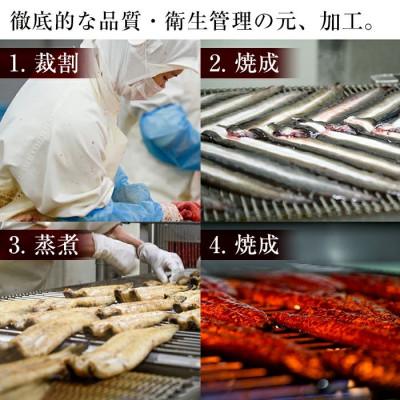 ふるさと納税 志布志市 鹿児島県産うなぎ蒲焼 名水慈鰻 2尾(1尾約236~270g)《計約500g》 |  | 02