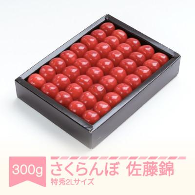ふるさと納税 村山市 さくらんぼ 佐藤錦 特秀 2Lサイズ 300g 化粧箱鏡詰め 2026年産 山形県産