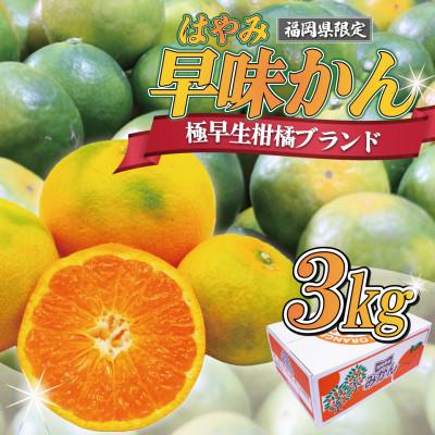 ふるさと納税 太宰府市 福岡県ブランドみかん「早味かん」 3kg(太宰府市)