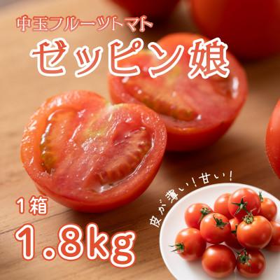 ふるさと納税 結城市 中玉フルーツトマト「ゼッピン娘」1.8kg(1箱)