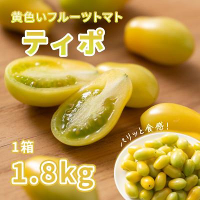 ふるさと納税 結城市 パリッと食感の黄色いフルーツトマト「ティポ」1.8kg(1箱)