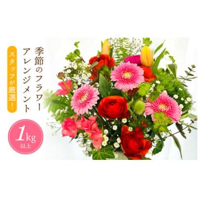 ふるさと納税 越前町 お花 お楽しみ 季節のフラワーアレンジメント