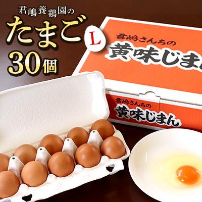 ふるさと納税 芳賀町 [君嶋養鶏園]Lサイズ 卵30個(27個+割れ補償3個)◆卵かけご飯にも◎