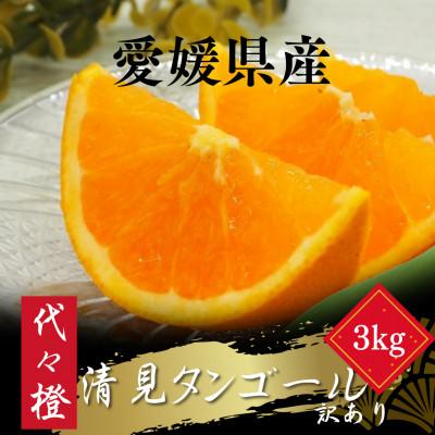 ふるさと納税 八幡浜市 [トロッととろける果実][訳あり]清見タンゴール 3kg[A83-32]