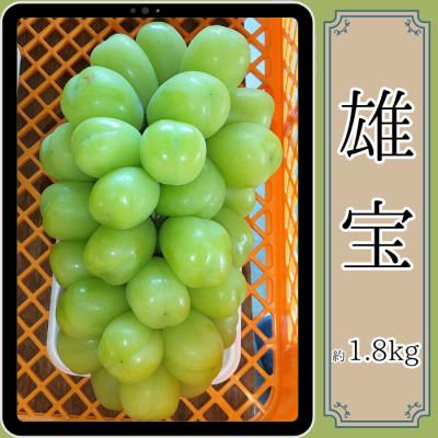 ふるさと納税 高森町 雄宝 約1.8kg<9月中旬より発送開始>