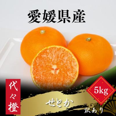 ふるさと納税 八幡浜市 【最高の旨みと香りが詰まった】代々橙せとか