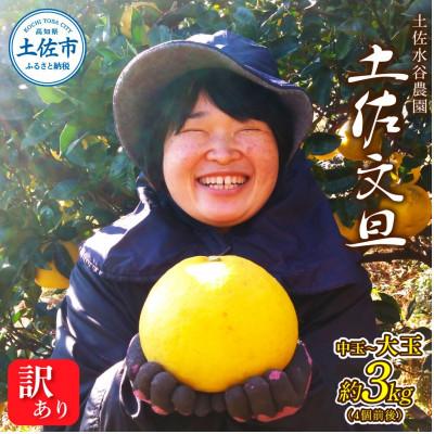 ふるさと納税 土佐市 化学合成農薬栽培期間中不使用 土佐水谷農園の土佐文旦 中玉〜大玉3kg(4個前後) 家庭用訳あり品