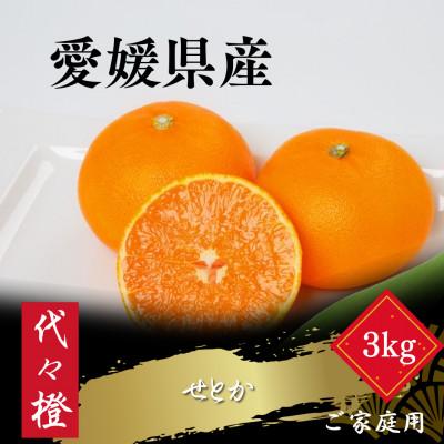 ふるさと納税 八幡浜市 [最高の旨みと香りが詰まった]代々橙せとか[ご家庭用]3kg[C83-44]