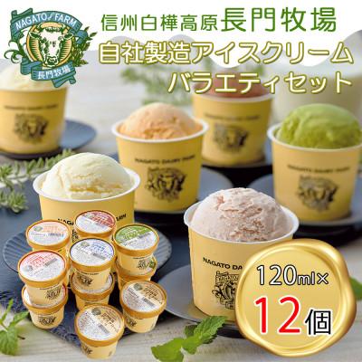 ふるさと納税 長和町 長門牧場濃厚ミルクのアイスクリーム12個セットA-2 6種フレーバー詰め合わせ 夏ギフト人気スイーツ