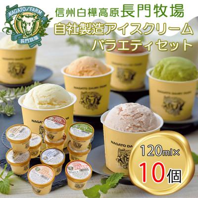 ふるさと納税 長和町 長門牧場 自社製造アイスクリーム 贅沢バラエティセット10個 クリスマススイーツギフト 長野県お歳暮