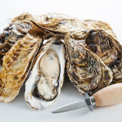 ふるさと納税 釧路町 【先行受付】仙鳳趾名産牡蠣 150g〜199g×35コ+かきナイフ付き かき漁師直送 K1-8の画像