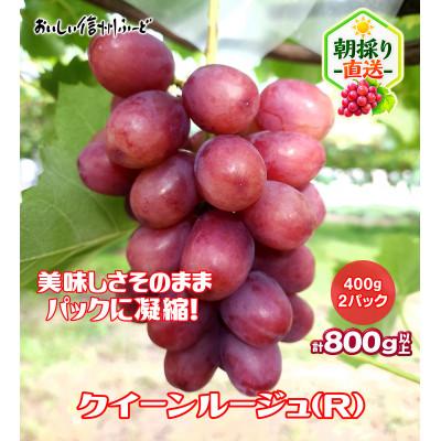 ふるさと納税 長野県 新鮮朝採り 長野県産 クイーンルージュ(R)  400g 2パック 2026年9月中旬より発送予定 | 
