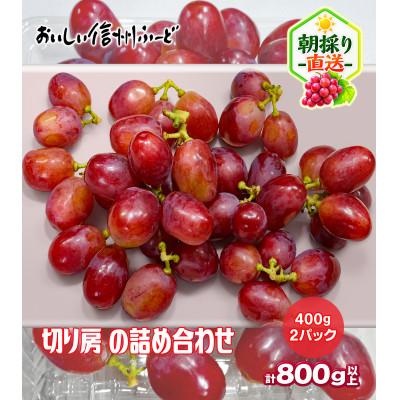 ふるさと納税 長野県 新鮮朝採り 長野県産 クイーンルージュ(R)  400g 2パック 2026年9月中旬より発送予定 |  | 01