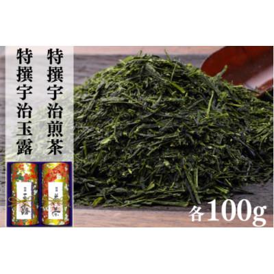 ふるさと納税 宇治田原町 宇治茶 特選玉露・特選煎茶飲み比べセット100g×2缶
