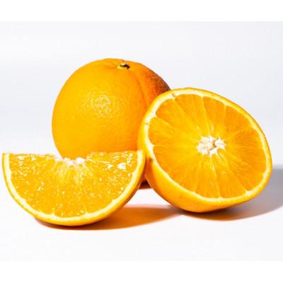 ふるさと納税 和歌山市 [2026年1月より順次発送]森本農園の木成り大玉ネーブルオレンジ 訳あり 7kg