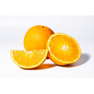 ふるさと納税 和歌山市 [2026年1月より順次発送]森本農園の木成りネーブルオレンジ 家庭用 4.5kg