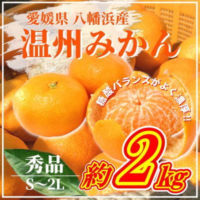 ふるさと納税 八幡浜市 [先行受付]山海の西宇和みかん約2kg(秀品)[B81-3]
