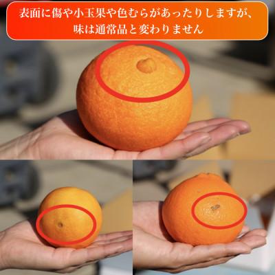 ふるさと納税 松山市 訳あり 愛果28号(紅まどんなと同品種)2.5kg(6個