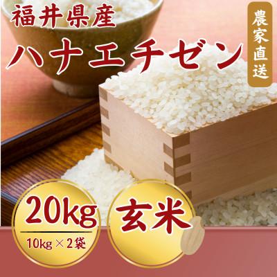 ふるさと納税 小浜市 [新米]令和8年産ハナエチゼン 玄米 20kg