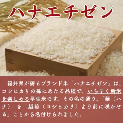 ふるさと納税 小浜市 【新米】令和8年産福井県産ハナエチゼン　玄米20kg(玄米10kg×2袋) |  | 01