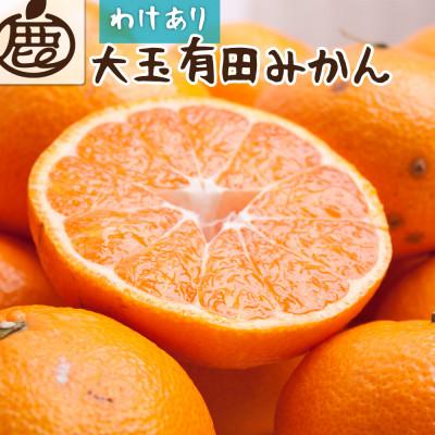 ふるさと納税 有田川町 家庭用 有田みかん(大玉)5kg+250g(傷み補償分)[光センサー選果][訳あり]