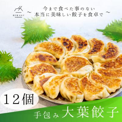 ふるさと納税 草津市 手包み大葉餃子 12個入り