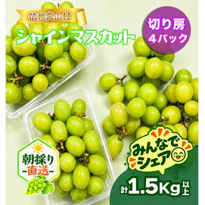 ふるさと納税 高山村 【新鮮朝採り】シャインマスカット《切り房 4パック》 1.5kg以上! 2026年9月下旬より発送 |  | 02