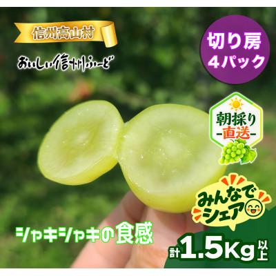 ふるさと納税 高山村 【新鮮朝採り】シャインマスカット《切り房 4パック》 1.5kg以上! 2026年9月下旬より発送 |  | 03
