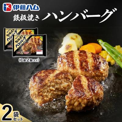 ふるさと納税 基山町 鉄板焼きハンバーグ2個入り×2袋(基山町)