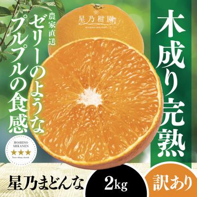 ふるさと納税 八幡浜市 [三つ星ブランド]訳あり 星乃まどんな(2kg)[C45-91]