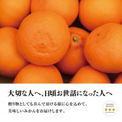 ふるさと納税 八幡浜市 【三つ星ブランド】星乃せとか(3kg)【D45-93