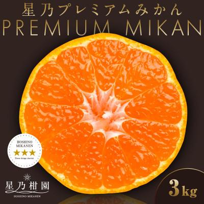 ふるさと納税 八幡浜市 [三つ星ブランド]星乃みかんプレミアムシリーズ(3kg)[C45-94]