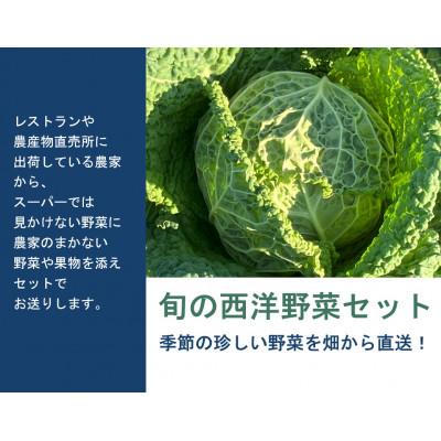 ふるさと納税 多気町 季節の西洋野菜セット