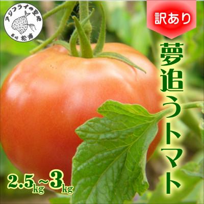 ふるさと納税 松浦市 訳あり!ご家庭用に大活躍 夢追うトマト2.5kg〜3kg
