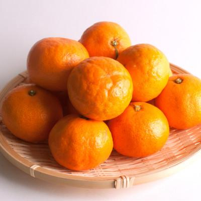 ふるさと納税 那智勝浦町 プレミアム 有田みかん1kg+250g(傷み補償分)【光センサー選果】 |  | 01