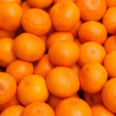 ふるさと納税 那智勝浦町 プレミアム 有田みかん1kg+250g(傷み補償分)【光センサー選果】 |  | 02