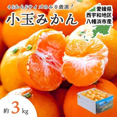 ふるさと納税 八幡浜市 小さいみかんを厳選!愛媛みかん小玉3kg[訳あり][A25-218]