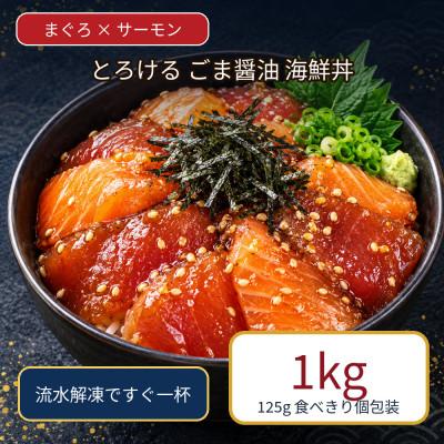 ふるさと納税 和水町 ごま醤油 海鮮丼 まぐろ&サーモン 約1kg(和水町