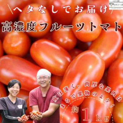 ふるさと納税 佐久穂町 こさゆと農園の高糖度フルーツトマト 約1kg[KY-101]